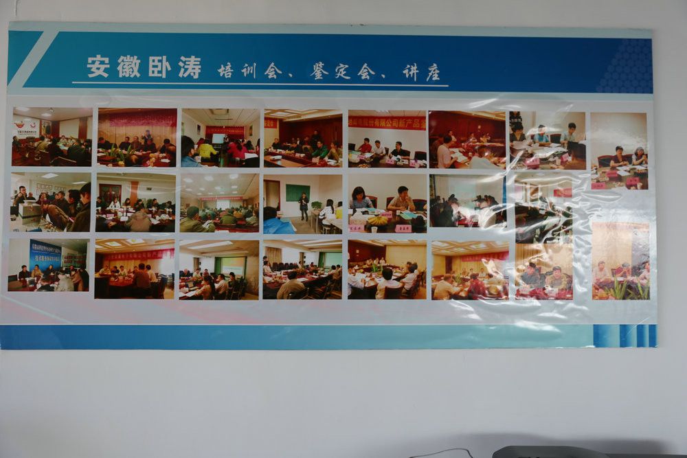 安徽臥濤項目申報培訓講座